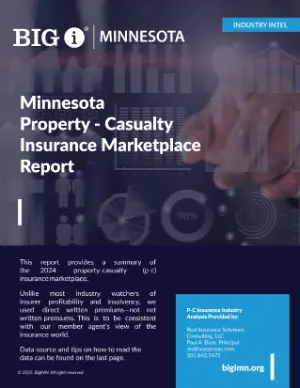 Blank_ MN P-C Marketplace Report_300x388